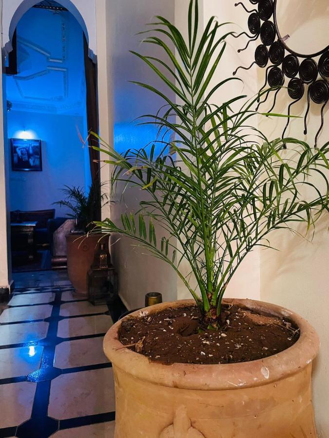 Riad Ms Holidays Terrasse Privatise Marrakech Marrakesz Zewnętrze zdjęcie