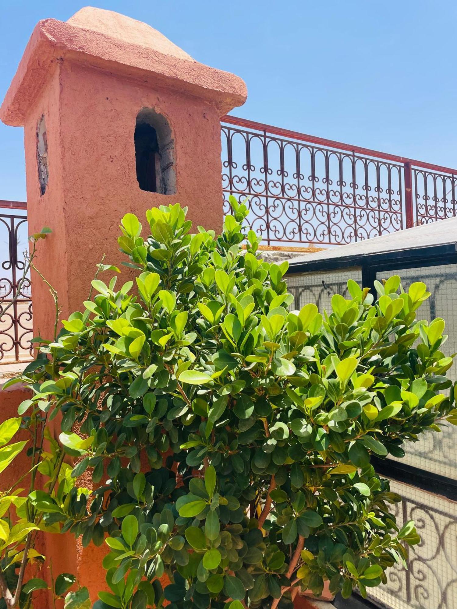 Riad Ms Holidays Terrasse Privatise Marrakech Marrakesz Zewnętrze zdjęcie