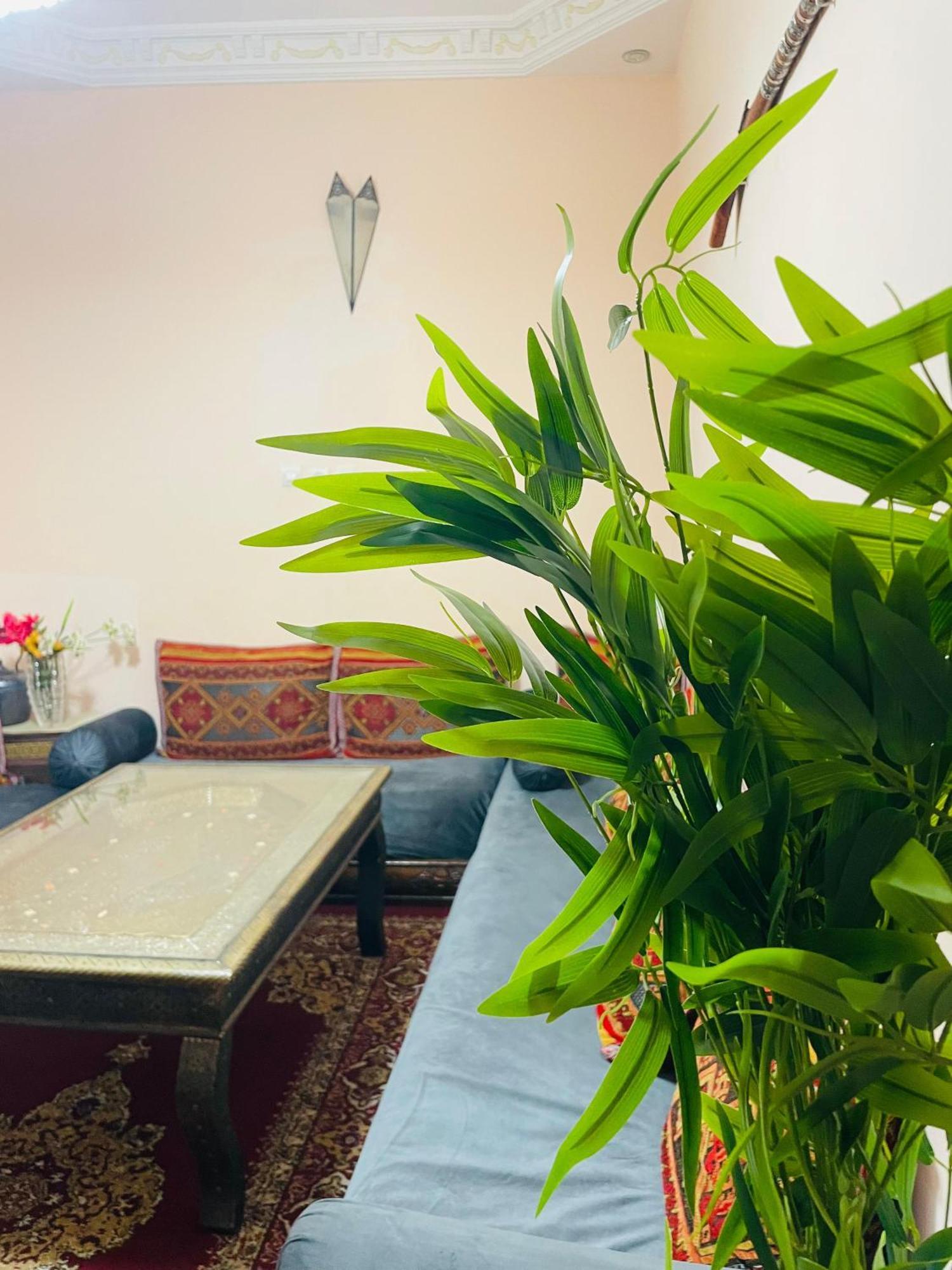 Riad Ms Holidays Terrasse Privatise Marrakech Marrakesz Zewnętrze zdjęcie